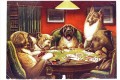 Animal actuando humano Perros jugando a las cartas humor gracioso mascotas